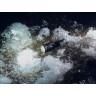 Тактический фонарь ARMYTEK DOBERMANN PRO MAGNET USB F07501C